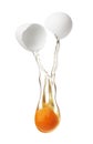 Egg yolk and white dropping out of cracked shell Royalty Free Stock Photo