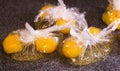 Egg yolks in plastic bags Royalty Free Stock Photo