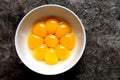 Egg yolks in a white bowl on a stone background Royalty Free Stock Photo