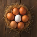 Eggcellent display Wooden background frames chicken eggs in rustic nest Royalty Free Stock Photo