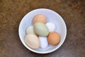 `The Eggers` white porcelan bowl filled with white brown pink and green farm fresh eggs Royalty Free Stock Photo