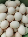 Egges, major protien source around the world Royalty Free Stock Photo