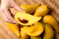 Eggfruit or canistel holding by hand, Thai fruit