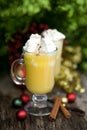 Eggnog Royalty Free Stock Photo