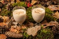 Eggnog Christmas cocktail on a forest substrate Royalty Free Stock Photo