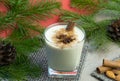 Eggnog Christmas cocktail with grated nutmeg and cinnamon. Traditional holiday drink. warm xmas cocktail Royalty Free Stock Photo