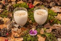 Eggnog Christmas cocktail and tea candle on a forest substrate Royalty Free Stock Photo