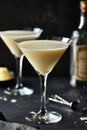 Eggnog cocktail in martini glass with grated nutmeg, festive holiday drink Royalty Free Stock Photo