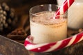 Eggnog traditional xmas homemade winter egg, milk, rum, vanilla alcohol liqueur preparation recipe in two glass cups with cinnamon Royalty Free Stock Photo