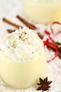 Eggnog with Whipped Cream and Cinnamon Royalty Free Stock Photo