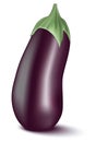 Eggplant