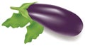 Eggplant