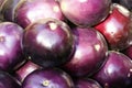 Eggplant Royalty Free Stock Photo