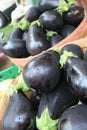 Eggplant