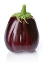 Eggplant