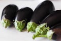 Eggplant