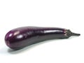 Eggplant