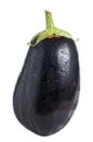 Eggplant