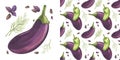 Eggplant with aromatic herbs. Basil and dill Watercolor set of isolated illustrations of vegetables and seamless pattern