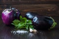 Eggplant (aubergine) with basil and garlic on dark wooden table. Fresh raw farm vegetables - harvest from the garden in Royalty Free Stock Photo