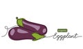 Eggplant, aubergine, brinjal simple vector illustration, background. One line drawing art illustration with lettering