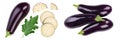 Eggplant or aubergine with slices isolated on white background. Clipping path and full depth of field. top, view, flat Royalty Free Stock Photo
