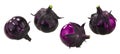 Eggplant or aubergine Solanum melongena fruit, whole, isolated. Anthocyanin-rich vegatable Royalty Free Stock Photo