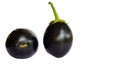 Eggplant, aubergine, Solanum melongena isolated on white background Royalty Free Stock Photo