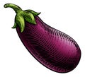 Eggplant Aubergine Vegetable Woodcut Illustration