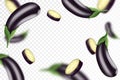 Eggplant background. Flying or falling eggplants isolated on transparent background. Can be used for advertising, packaging,