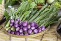 Eggplant and Chinese kale ,Vegetables in bamboo baskets Royalty Free Stock Photo