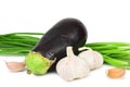 Eggplant in droplets of water, two heads of garlic and stalks of green onions, depicted on a white background