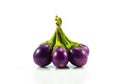 Eggplant fresh isolared on white background