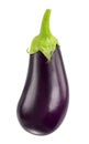 Eggplant Royalty Free Stock Photo