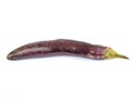 Eggplant is less fresh isolated on white Royalty Free Stock Photo
