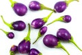 Eggplant fresh on top isolared on white background