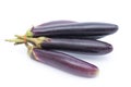 Eggplant fruit