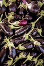 Eggplant fruits heap on market stall