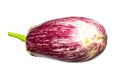 Eggplant Graffiti isolated on white background cutout. Aubergine. Healthy food Royalty Free Stock Photo