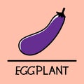 Eggplant hand-drawn style.