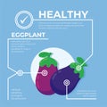 Eggplant infographic vector Design, fresh vegetable