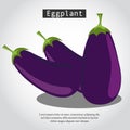 Eggplant Infographic Vector.