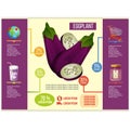 Eggplant infographic vector