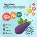 Eggplant infographics and vitamins in a flat style Royalty Free Stock Photo