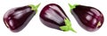 Eggplant Isolated Clipping Path Royalty Free Stock Photo