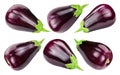 Eggplant isolated Clipping Path Royalty Free Stock Photo