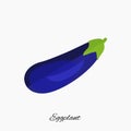 Eggplant Isolated on White Background, Aubergine Vector Icon