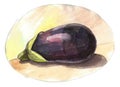 Eggplant. Large blue eggplant on a yellow background. Cool print for a t-shirt or kitchen, decoration of plates, boxes.