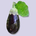 Eggplant with leaf