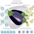 Eggplant nutrition facts and health benefits infographic